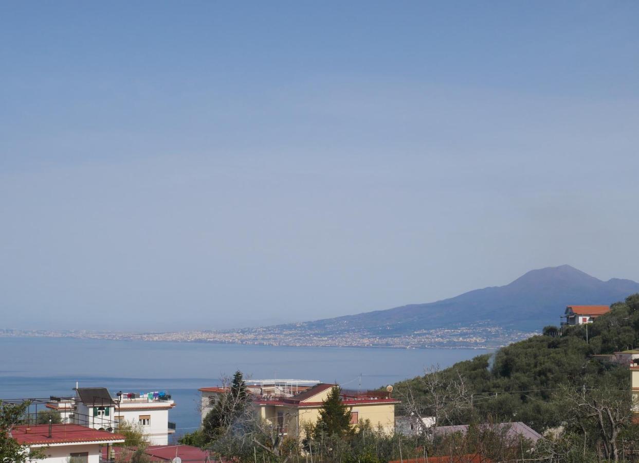 Olindo Apartment E Cristina Apartments Vico Equense Bagian luar foto